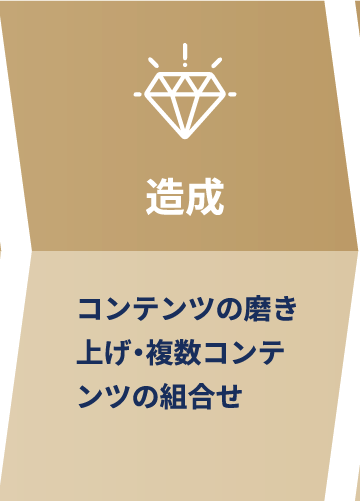 造成 コンテンツの磨き上げ・複数コンテンツの組合せ