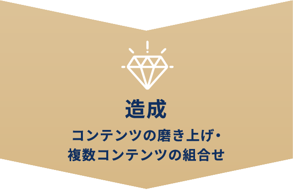 造成 コンテンツの磨き上げ・複数コンテンツの組合せ