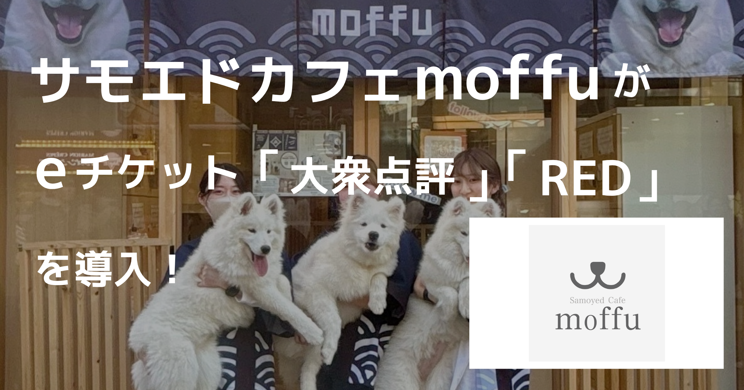 【導入事例】サモエドカフェ moffu